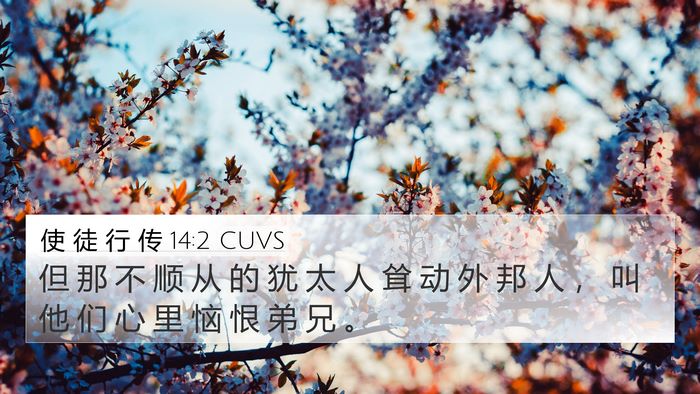 使 徒 行 传 14:2 CUVS Bible Verse Image