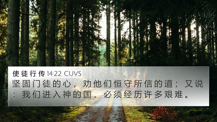 使 徒 行 传 14:22 CUVS Bible Verse Image