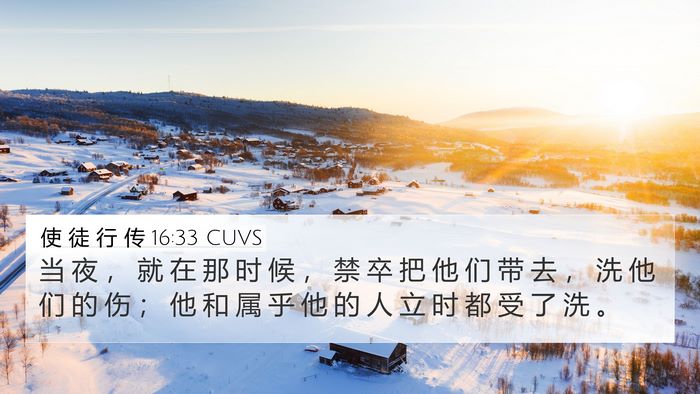 使 徒 行 传 16:33 CUVS Bible Verse Image