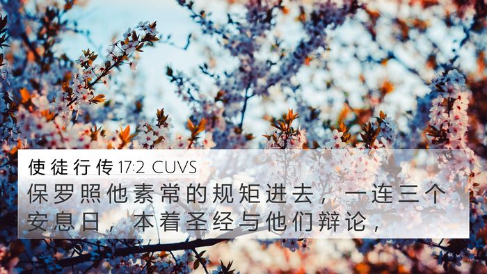 使 徒 行 传 17:2 CUVS Bible Verse Image