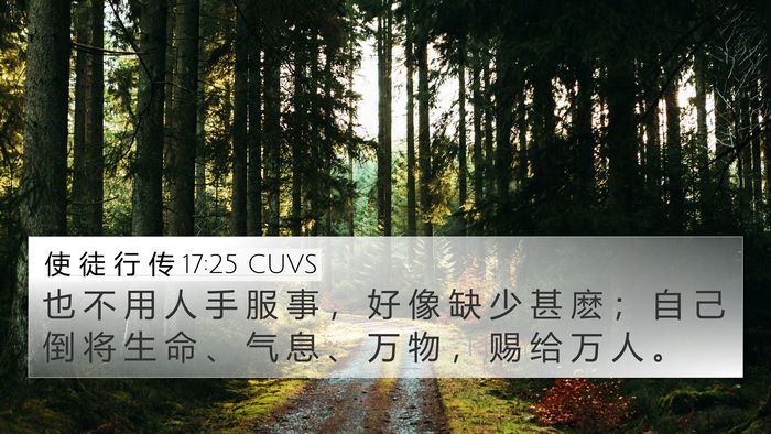 使 徒 行 传 17:25 CUVS Bible Verse Image