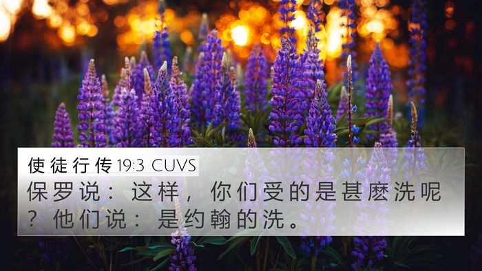 使 徒 行 传 19:3 CUVS Bible Verse Image