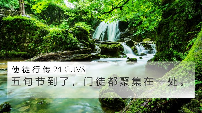 使 徒 行 传 2:1 CUVS Bible Verse Image