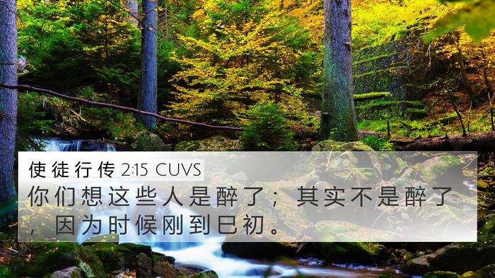 使 徒 行 传 2:15 CUVS Bible Verse Image