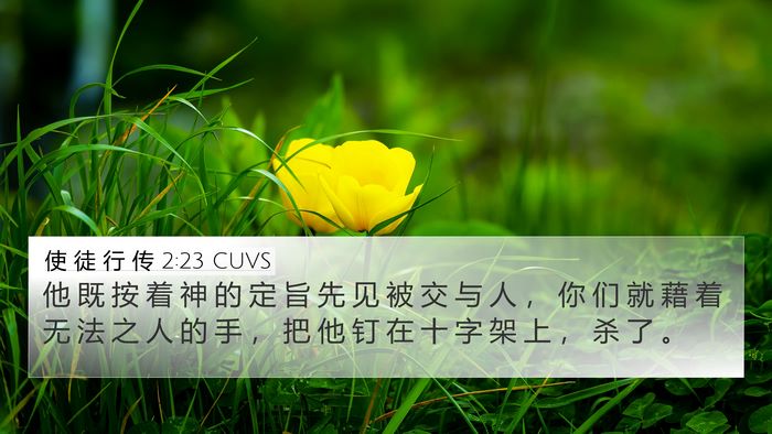 使 徒 行 传 2:23 CUVS Bible Verse Image