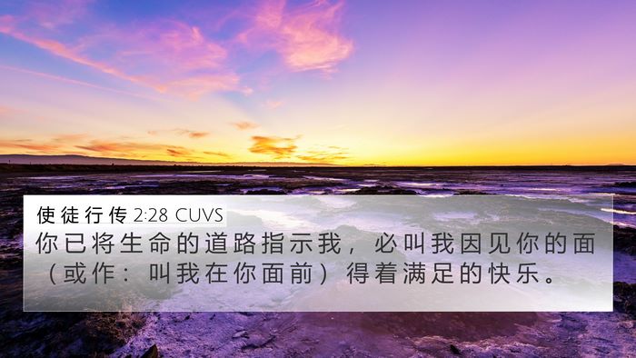 使 徒 行 传 2:28 CUVS Bible Verse Image