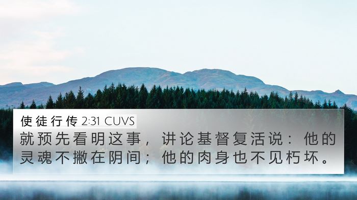 使 徒 行 传 2:31 CUVS Bible Verse Image