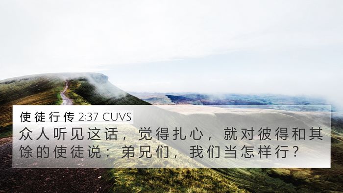 使 徒 行 传 2:37 CUVS Bible Verse Image