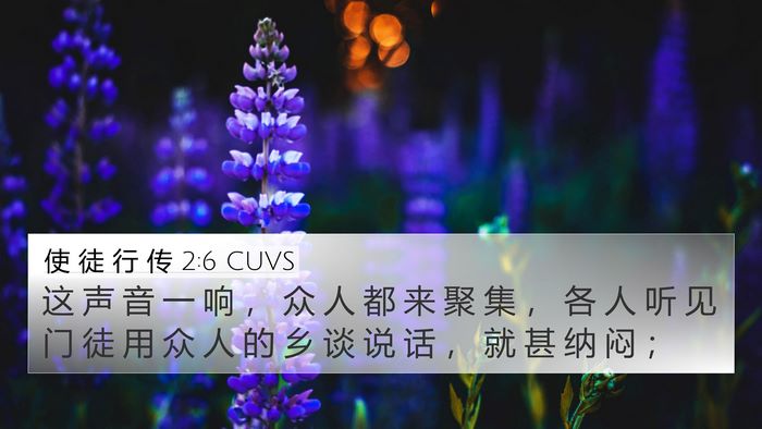 使 徒 行 传 2:6 CUVS Bible Verse Image