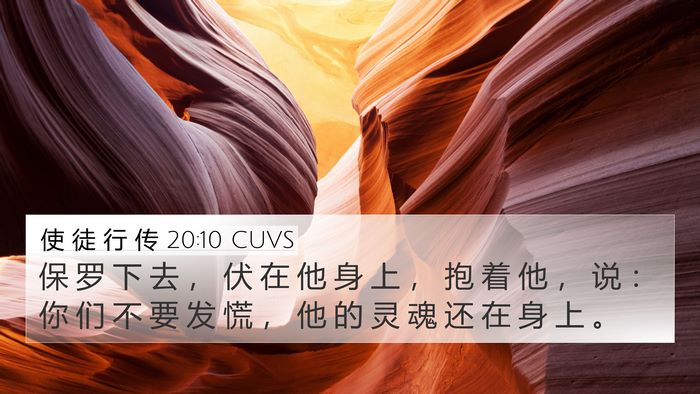使 徒 行 传 20:10 CUVS Bible Verse Image