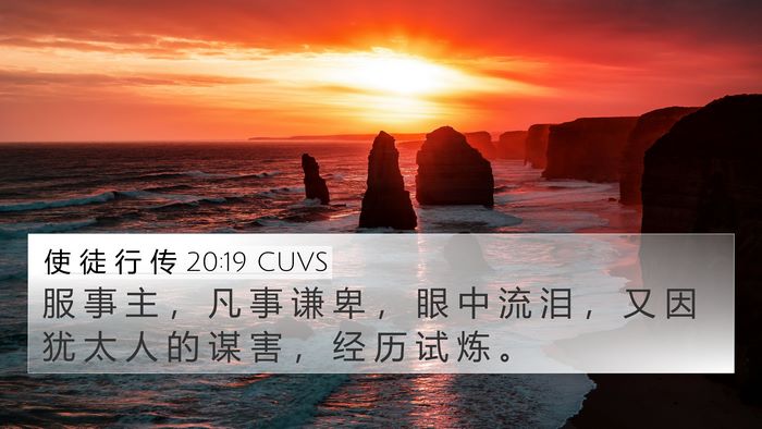 使 徒 行 传 20:19 CUVS Bible Verse Image