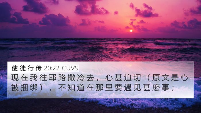 使 徒 行 传 20:22 CUVS Bible Verse Image