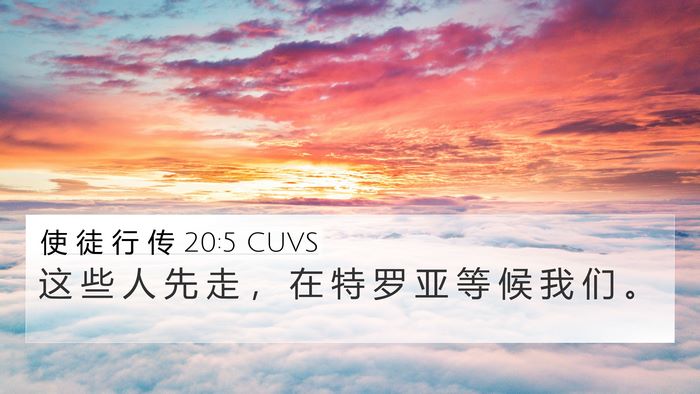 使 徒 行 传 20:5 CUVS Bible Verse Image