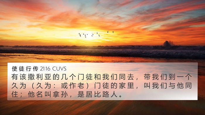 使 徒 行 传 21:16 CUVS Bible Verse Image