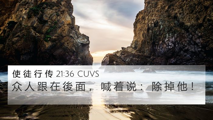 使 徒 行 传 21:36 CUVS Bible Verse Image