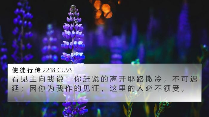 使 徒 行 传 22:18 CUVS Bible Verse Image