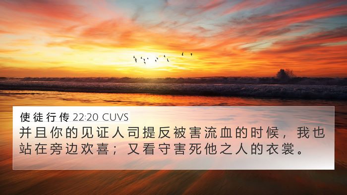 使 徒 行 传 22:20 CUVS Bible Verse Image