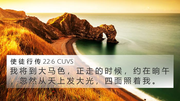 使 徒 行 传 22:6 CUVS Bible Verse Image