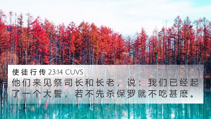 使 徒 行 传 23:14 CUVS Bible Verse Image