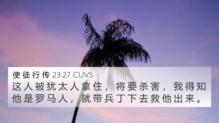 使 徒 行 传 23:27 CUVS Bible Verse Image