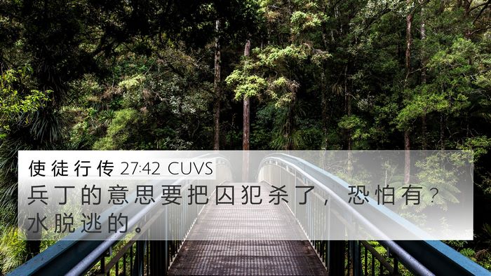 使 徒 行 传 27:42 CUVS Bible Verse Image