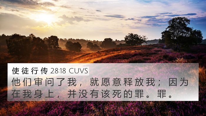 使 徒 行 传 28:18 CUVS Bible Verse Image