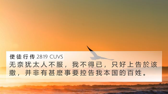 使 徒 行 传 28:19 CUVS 4K Wallpaper - 无 奈 犹 太 人 不 服 ， 我 不 得 已 - 4K Wallpaper Bible Verse