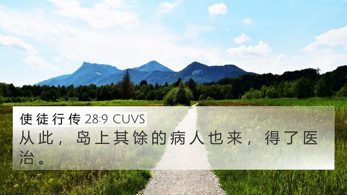 使 徒 行 传 28:9 CUVS 4K Wallpaper - 从 此 ， 岛 上 其 馀 的 病 人 也 来 - 4K Wallpaper Bible Verse