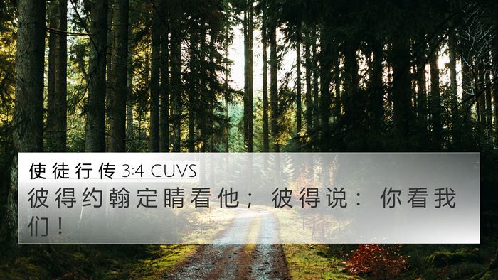 使 徒 行 传 3:4 CUVS 4K Wallpaper - 彼 得 约 翰 定 睛 看 他 ； 彼 得 说 - 4K Wallpaper Bible Verse