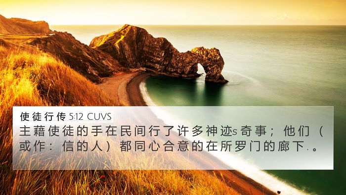 使 徒 行 传 5:12 CUVS Bible Verse Image