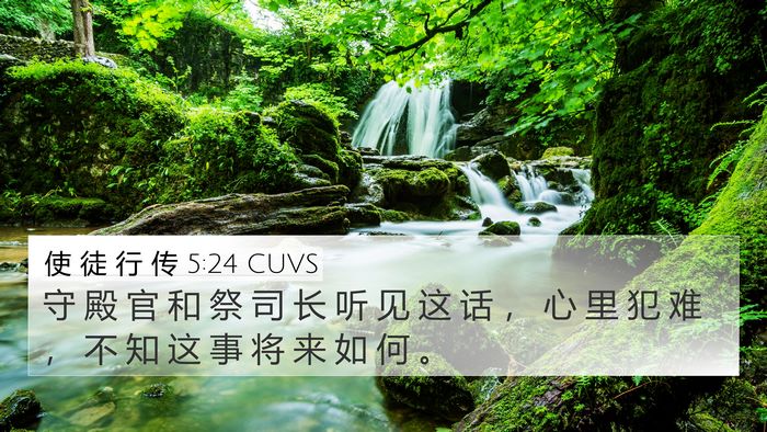 使 徒 行 传 5:24 CUVS Bible Verse Image