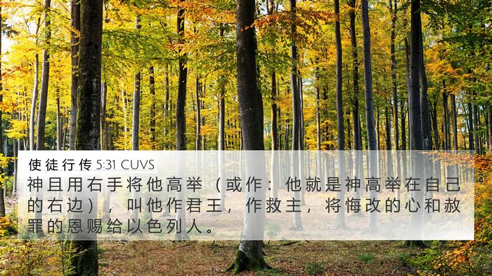 使 徒 行 传 5:31 CUVS Bible Verse Image