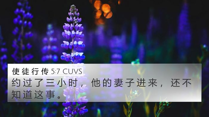 使 徒 行 传 5:7 CUVS 4K Wallpaper - 约 过 了 三 小 时 ， 他 的 妻 子 进 - 4K Wallpaper Bible Verse