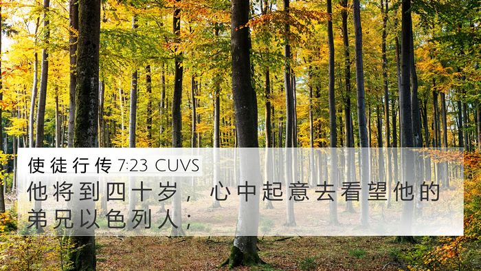 使 徒 行 传 7:23 CUVS Bible Verse Image