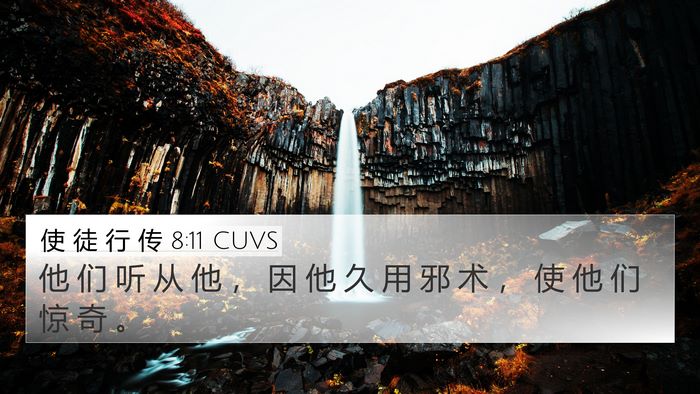 使 徒 行 传 8:11 CUVS Bible Verse Image