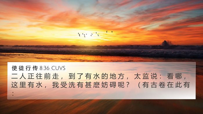 使 徒 行 传 8:36 CUVS Bible Verse Image