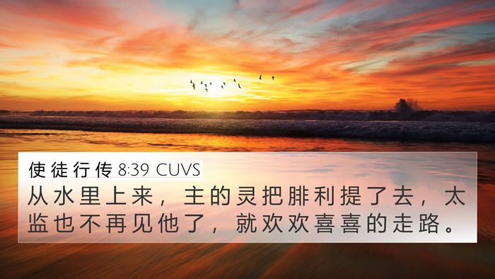 使 徒 行 传 8:39 CUVS Bible Verse Image