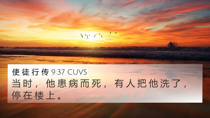 使 徒 行 传 9:37 CUVS Bible Verse Image