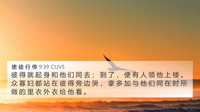 使 徒 行 传 9:39 CUVS Bible Verse Image