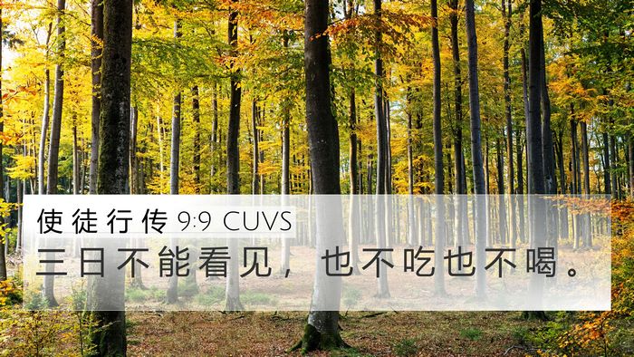 使 徒 行 传 9:9 CUVS Bible Verse Image