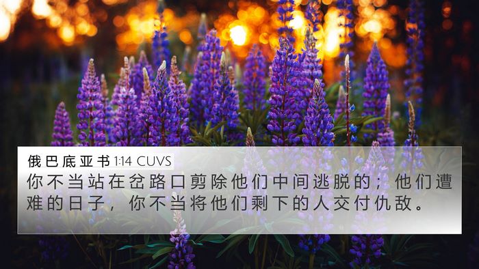 俄 巴 底 亚 书 1:14 CUVS Bible Verse Image