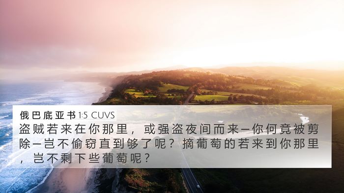 俄 巴 底 亚 书 1:5 CUVS Bible Verse Image