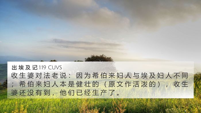 出 埃 及 记 1:19 CUVS Bible Verse Image