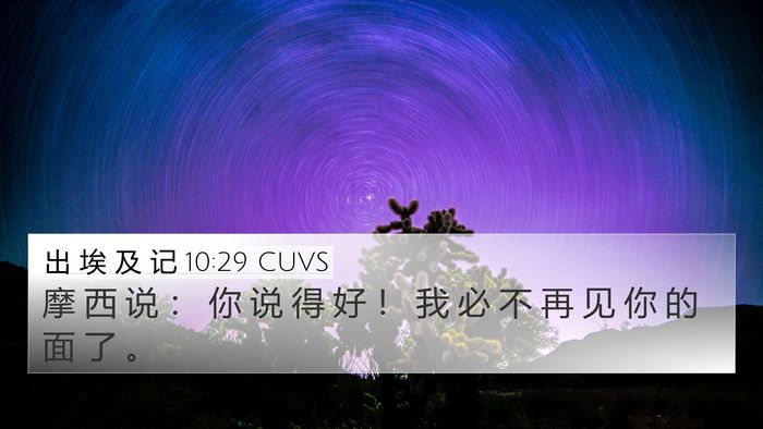 出 埃 及 记 10:29 CUVS 4K Wallpaper - 摩 西 说 ： 你 说 得 好 ！ 我 必 不 - 4K Wallpaper Bible Verse