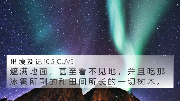 出 埃 及 记 10:5 CUVS 4K Wallpaper - 遮 满 地 面 ， 甚 至 看 不 见 地 ， - 4K Wallpaper Bible Verse