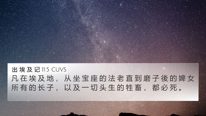 出 埃 及 记 11:5 CUVS 4K Wallpaper - 凡 在 埃 及 地 ， 从 坐 宝 座 的 法 - 4K Wallpaper Bible Verse