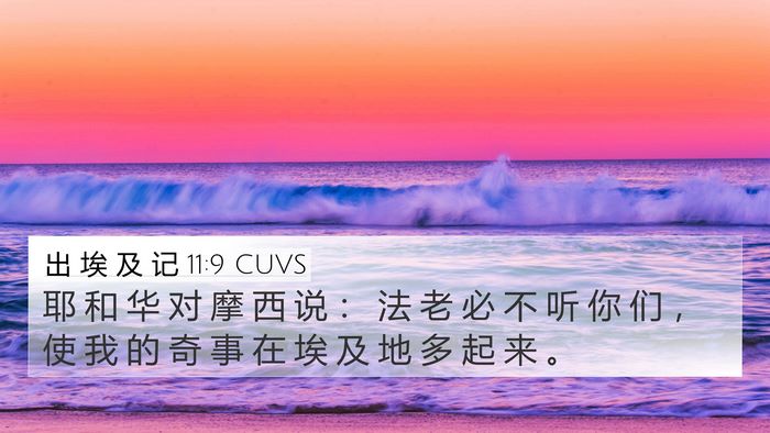 出 埃 及 记 11:9 CUVS Bible Verse Image