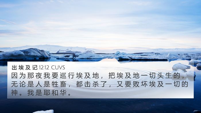 出 埃 及 记 12:12 CUVS Bible Verse Image