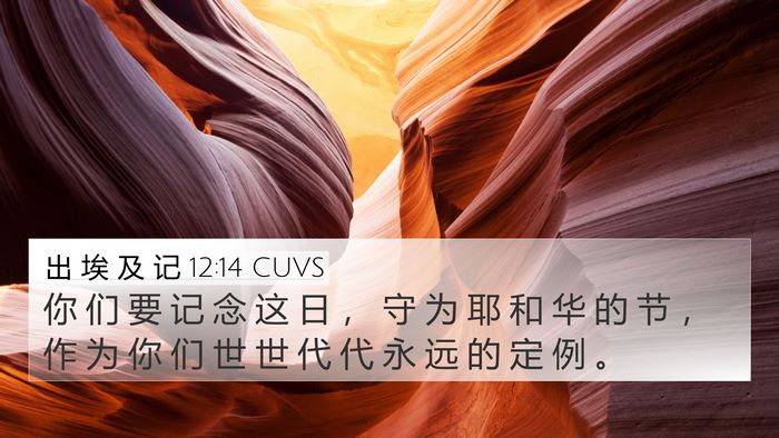出 埃 及 记 12:14 CUVS Bible Verse Image