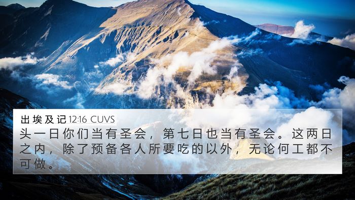 出 埃 及 记 12:16 CUVS Bible Verse Image